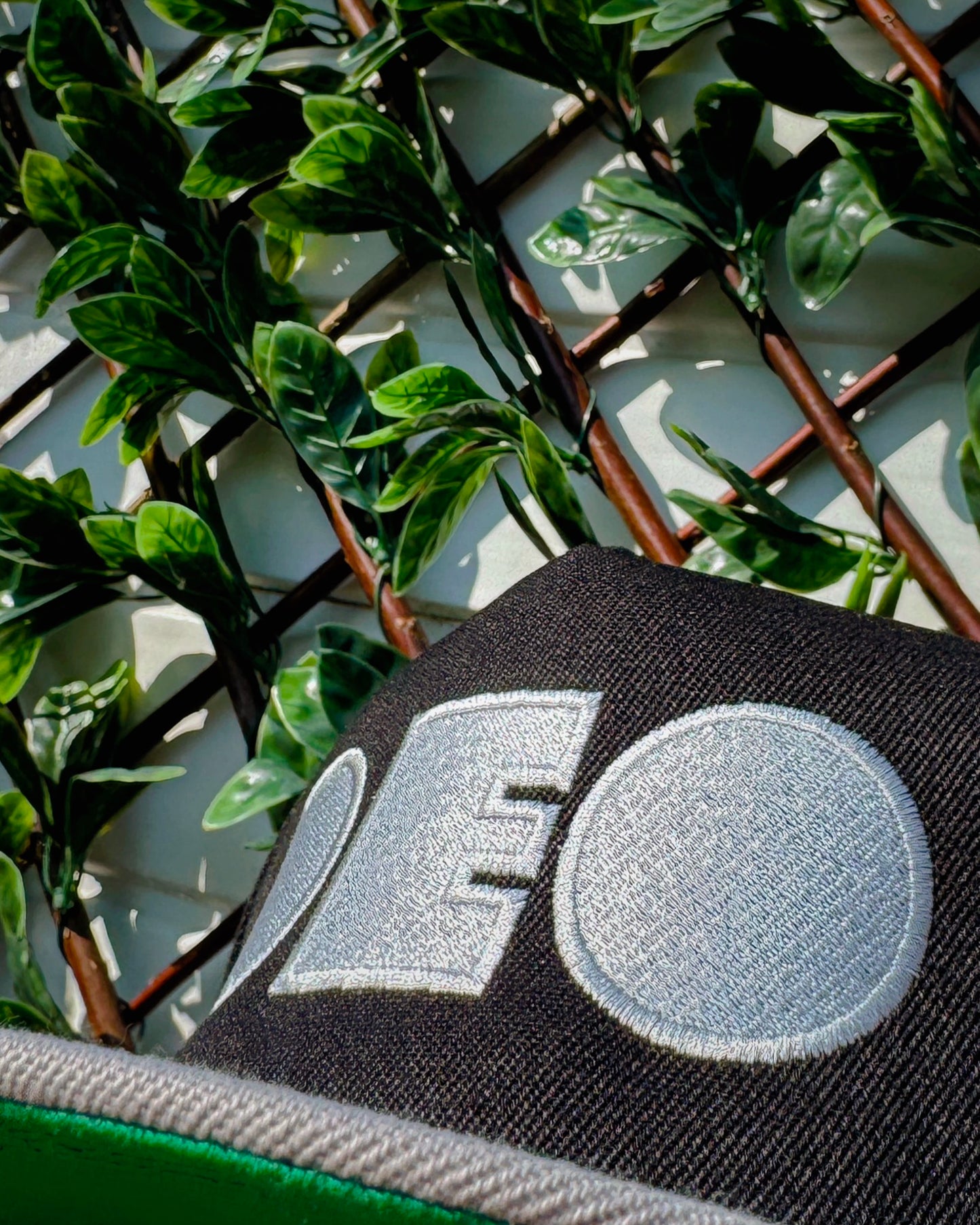 DEO BOLD SNAPBACK - STEEL